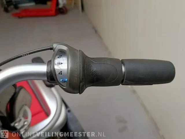 Rolstoelfiets van raam, o'pair² - afbeelding 6 van  9