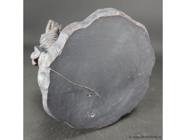 Rondo van olifanten - afbeelding 5 van  5