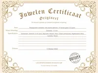 Rosegouden oorbellen met zwarte diamant - afbeelding 4 van  10