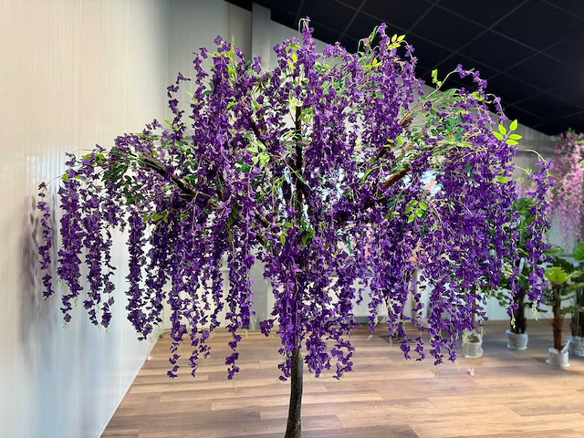 Royal pachira blauwe regen kunstboom - afbeelding 16 van  20