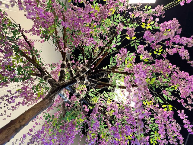 Royal pachira bonen bloem treurwilg kunstboom - afbeelding 25 van  27
