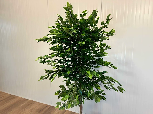 Royal pachira ficus kunstboom - afbeelding 2 van  17
