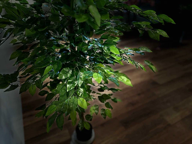 Royal pachira ficus kunstboom - afbeelding 4 van  17