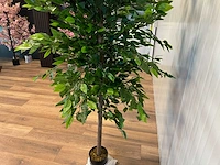 Royal pachira ficus kunstboom - afbeelding 5 van  17