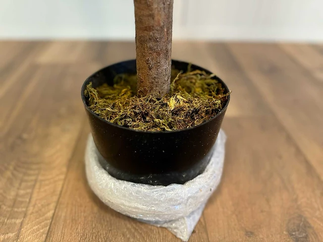 Royal pachira ficus kunstboom - afbeelding 8 van  17
