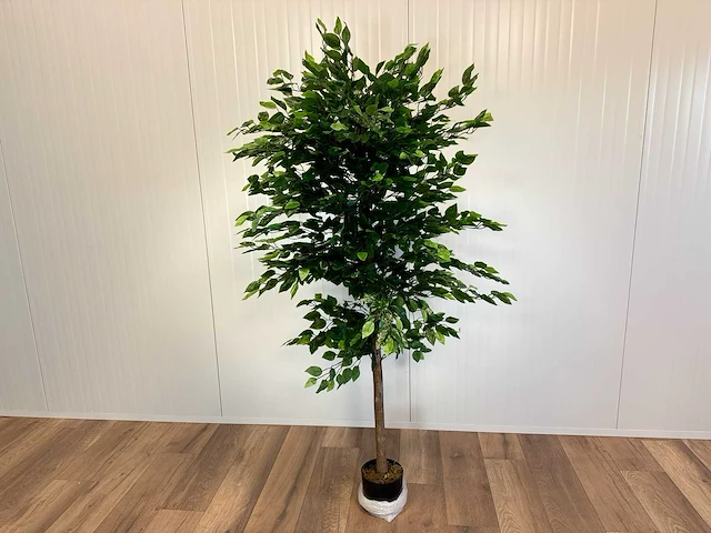 Royal pachira ficus kunstboom - afbeelding 10 van  17