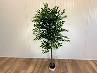Royal pachira ficus kunstboom - afbeelding 10 van  17