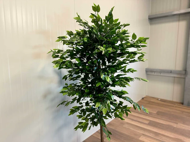 Royal pachira ficus kunstboom - afbeelding 11 van  17
