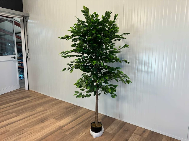 Royal pachira ficus kunstboom - afbeelding 12 van  17