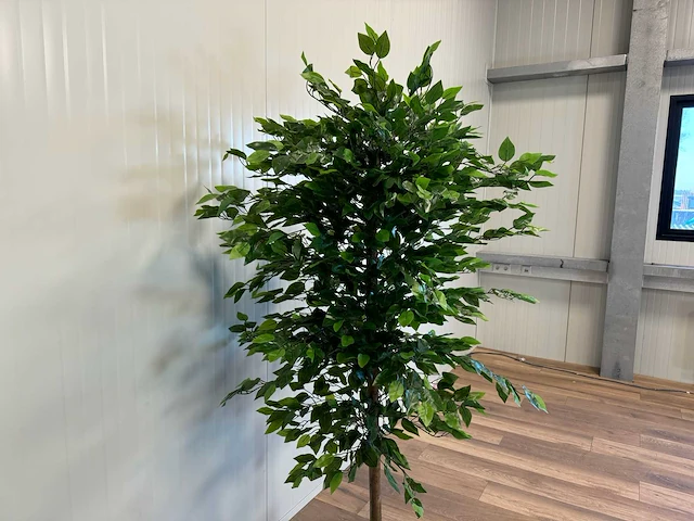 Royal pachira ficus kunstboom - afbeelding 13 van  17