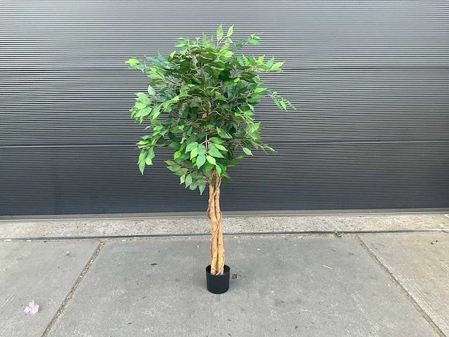Royal pachira ficus kunstboom - afbeelding 1 van  8