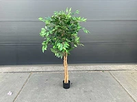 Royal pachira ficus kunstboom - afbeelding 1 van  8
