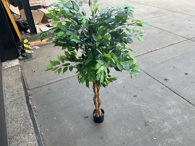 Royal pachira ficus kunstboom - afbeelding 3 van  8
