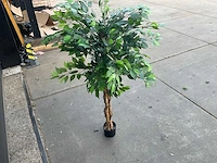 Royal pachira ficus kunstboom - afbeelding 3 van  8