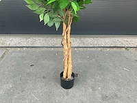 Royal pachira ficus kunstboom - afbeelding 5 van  8