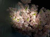 Royal pachira kersen bloesem kunstboom - afbeelding 6 van  17