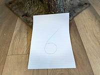 Royal pachira kersen bloesem kunstboom - afbeelding 10 van  19