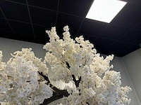 Royal pachira kersen bloesem wit kunstboom - afbeelding 4 van  18