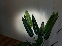 Royal pachira kunstboom - afbeelding 7 van  16