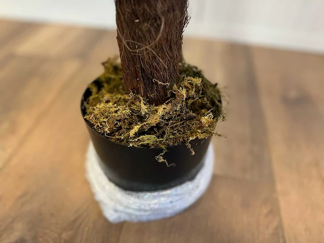 Royal pachira monsteria deliciosa kunstboom - afbeelding 7 van  16