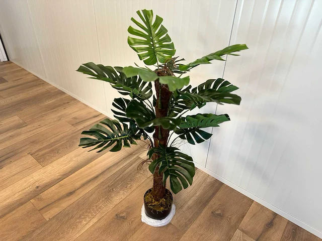 Royal pachira monsteria deliciosa kunstboom - afbeelding 9 van  16