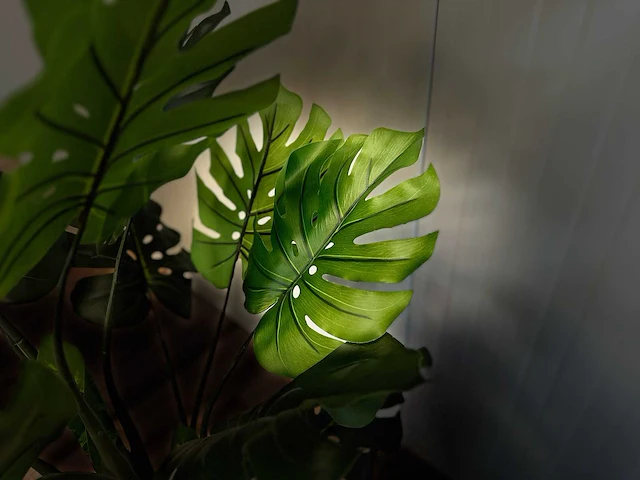 Royal pachira monsteria deliciosa kunstboom - afbeelding 2 van  14