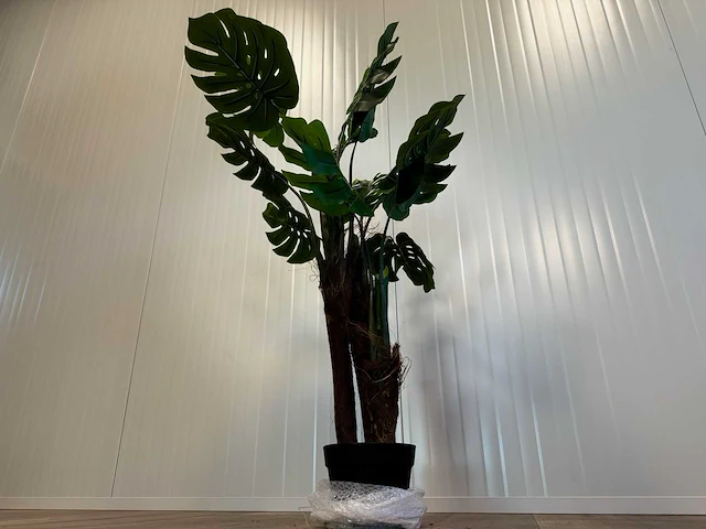 Royal pachira monsteria deliciosa kunstboom - afbeelding 4 van  14