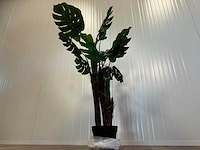 Royal pachira monsteria deliciosa kunstboom - afbeelding 4 van  14