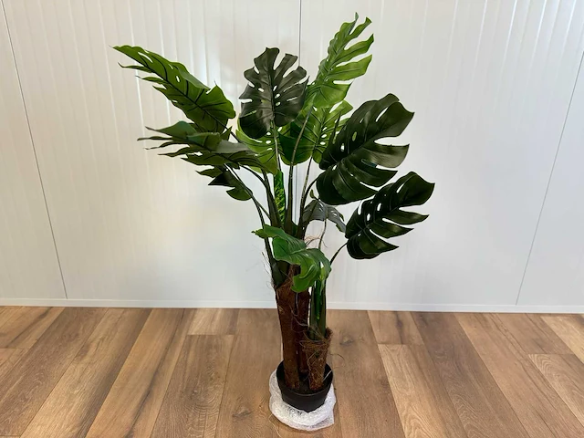 Royal pachira monsteria deliciosa kunstboom - afbeelding 1 van  14