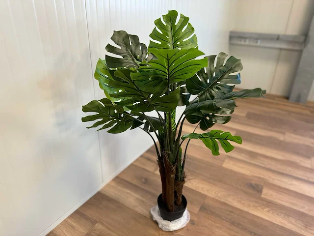 Royal pachira monsteria deliciosa kunstboom - afbeelding 7 van  14