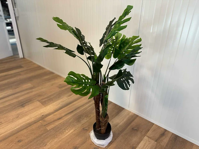 Royal pachira monsteria deliciosa kunstboom - afbeelding 8 van  14