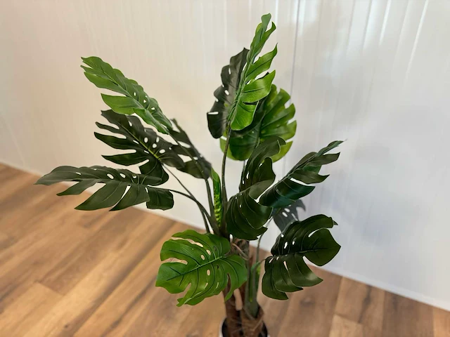 Royal pachira monsteria deliciosa kunstboom - afbeelding 9 van  14