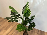 Royal pachira monsteria deliciosa kunstboom - afbeelding 9 van  14