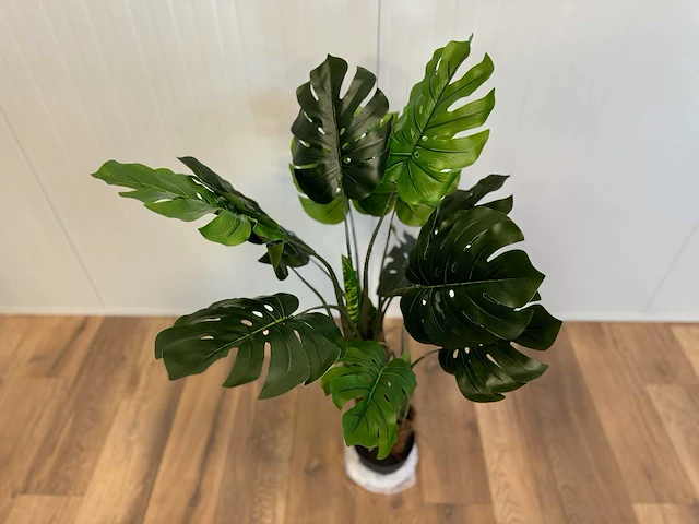 Royal pachira monsteria deliciosa kunstboom - afbeelding 10 van  14