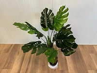 Royal pachira monsteria deliciosa kunstboom - afbeelding 10 van  14