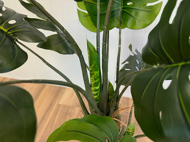 Royal pachira monsteria deliciosa kunstboom - afbeelding 11 van  14