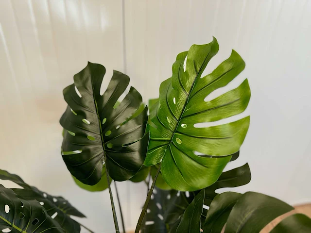 Royal pachira monsteria deliciosa kunstboom - afbeelding 12 van  14