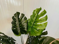 Royal pachira monsteria deliciosa kunstboom - afbeelding 12 van  14