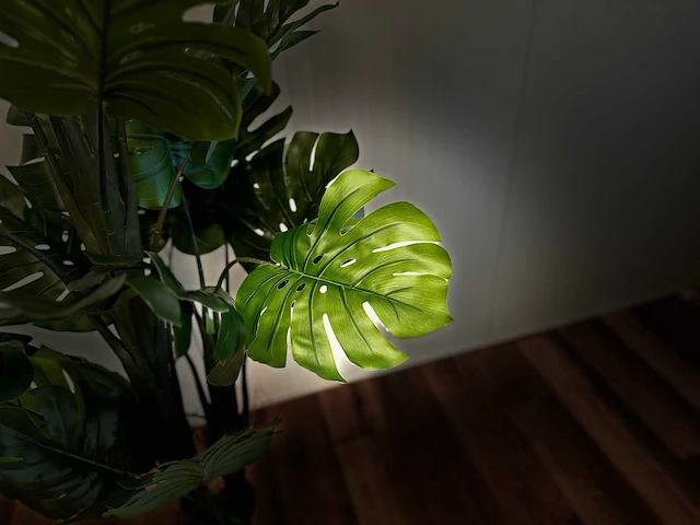 Royal pachira monsteria deliciosa kunstboom - afbeelding 2 van  14