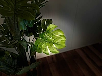 Royal pachira monsteria deliciosa kunstboom - afbeelding 2 van  14