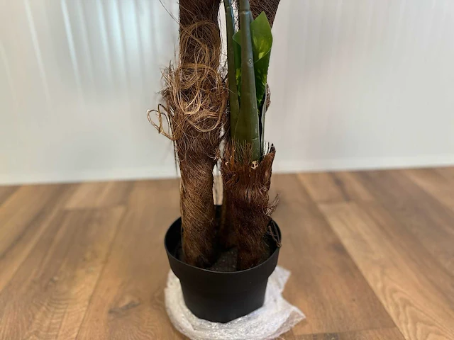 Royal pachira monsteria deliciosa kunstboom - afbeelding 4 van  14