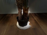 Royal pachira monsteria deliciosa kunstboom - afbeelding 5 van  14