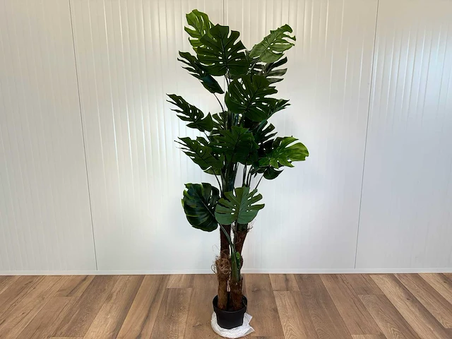 Royal pachira monsteria deliciosa kunstboom - afbeelding 1 van  14