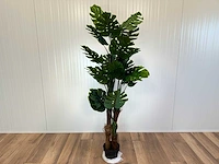 Royal pachira monsteria deliciosa kunstboom - afbeelding 1 van  14
