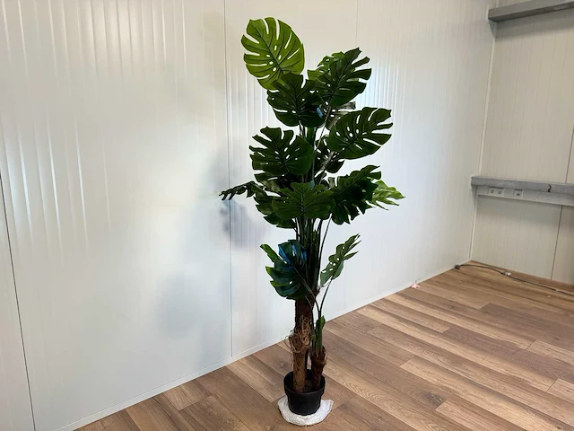Royal pachira monsteria deliciosa kunstboom - afbeelding 7 van  14