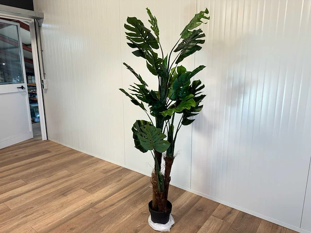 Royal pachira monsteria deliciosa kunstboom - afbeelding 8 van  14