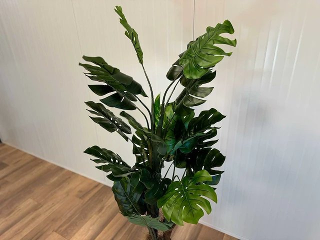 Royal pachira monsteria deliciosa kunstboom - afbeelding 9 van  14