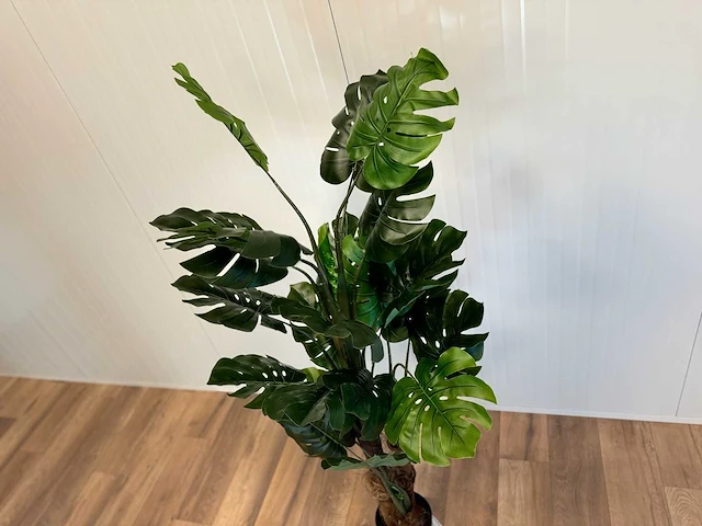 Royal pachira monsteria deliciosa kunstboom - afbeelding 10 van  14