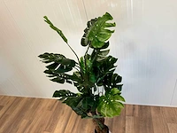 Royal pachira monsteria deliciosa kunstboom - afbeelding 10 van  14
