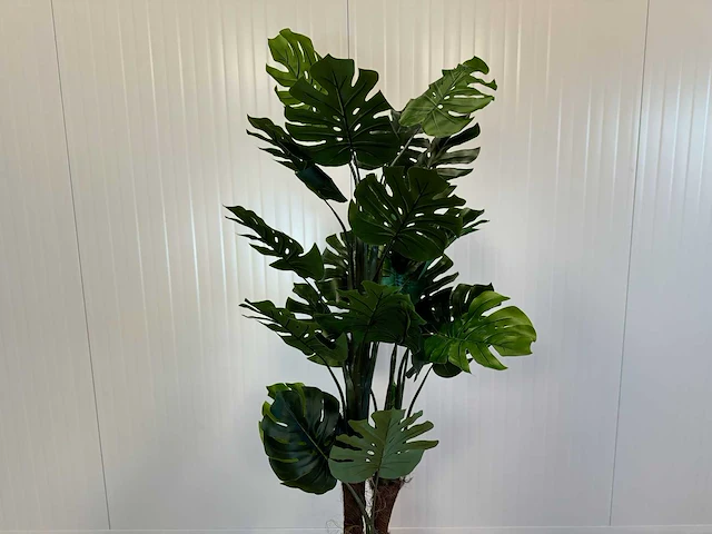 Royal pachira monsteria deliciosa kunstboom - afbeelding 11 van  14
